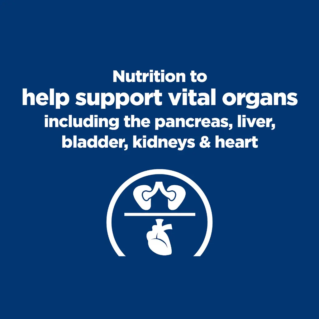 WhatsApp Image 2026-01-21 .webp