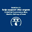 WhatsApp Image 2026-01-21 .webp