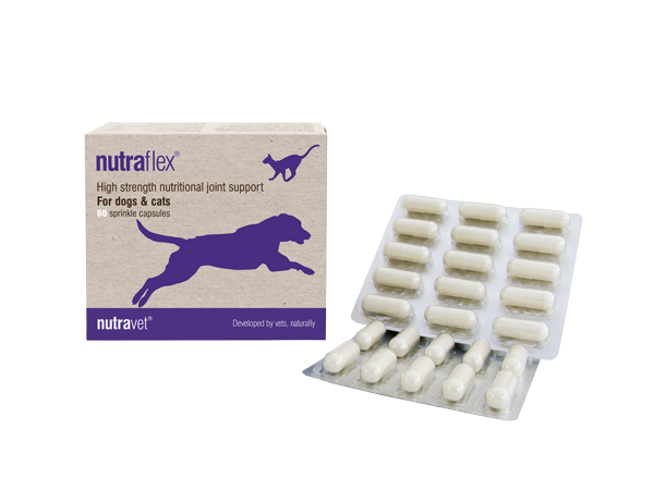 Nutravet Nutraflex 骨骼關節 營養膠囊 (貓狗合用) 每盒60粒膠囊