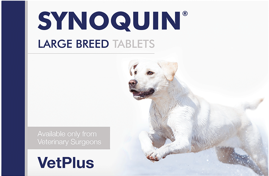 VetPlus Synoquin EFA Large Breed 大型犬 >25kg 關節補充丸 120粒