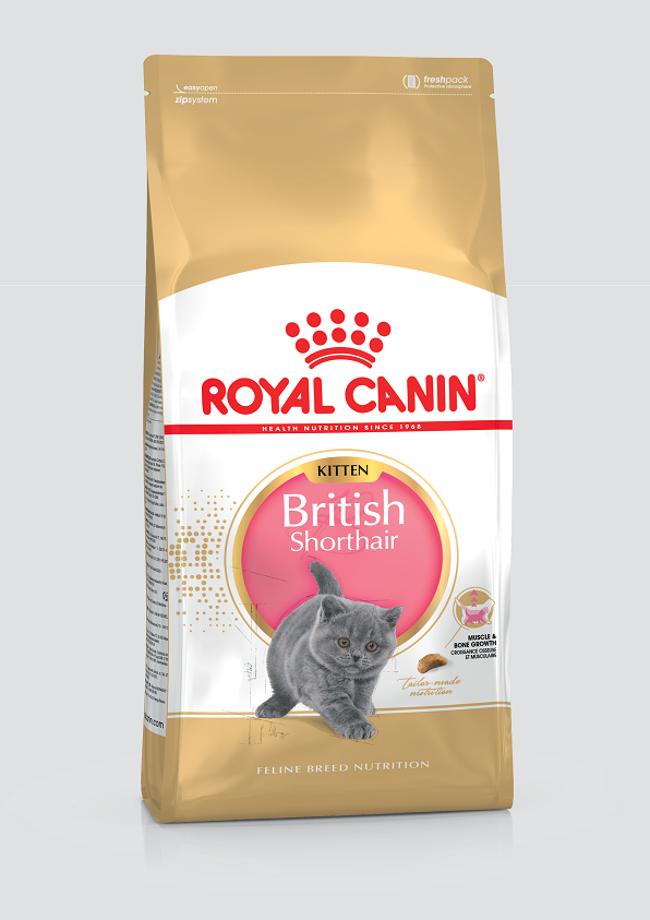 Royal Canin 皇家 英國短毛幼貓專屬配方 (12個月或以下) 貓乾糧 貓糧 2kg