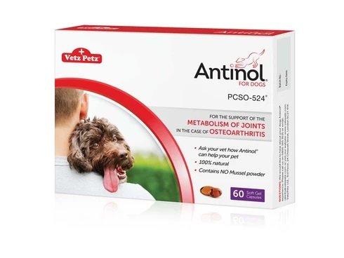Vetz Petz Antinol for dog 60pcs