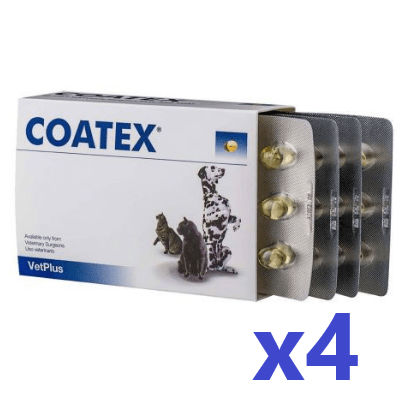 Vetplus Coatex (Skin & Coat Supplement for Dogs & Cats) 240caps