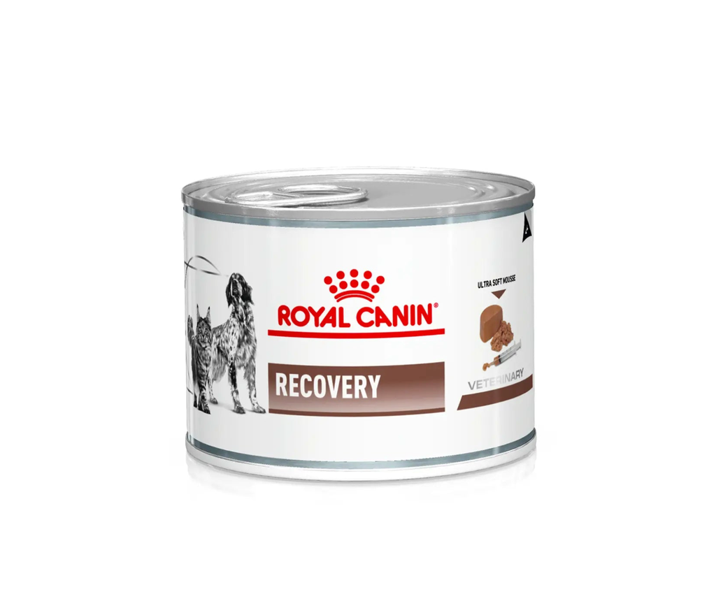 Royal Canin Prescription Diet RECOVERY Canned Food Cat Food Dog Food 195g x12