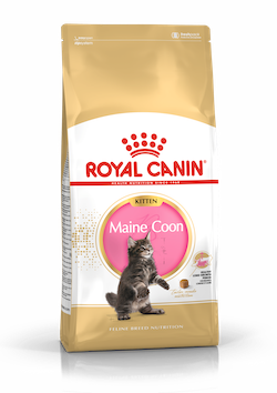 Royal Canin Kitten Maine Coon 10kg