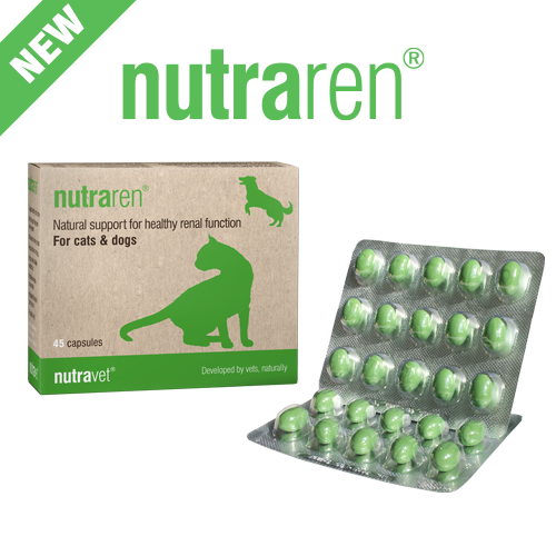 Nutravet Nutraren 腎臟保健膠囊 45粒 (貓狗適用)