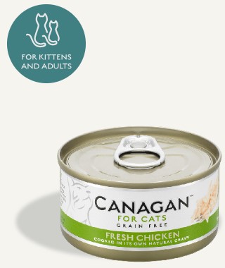 Canagan Cats Fresh Chicken 75g