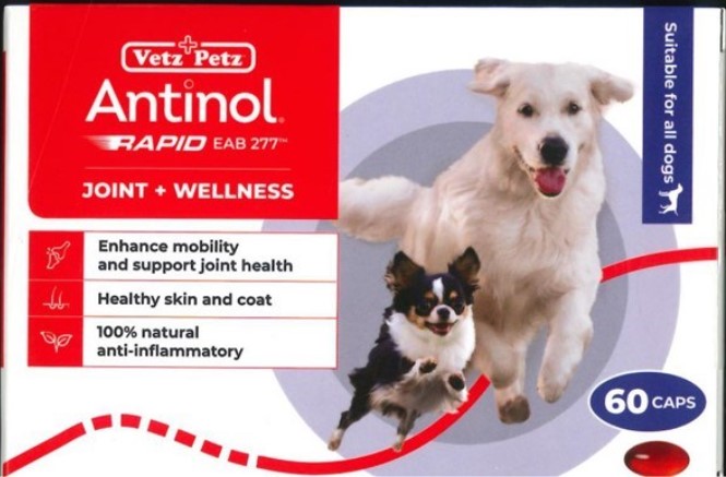 犬用 ANTINOL RAPID 60粒
