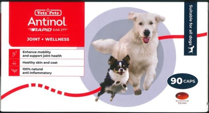 犬用 ANTINOL RAPID 90粒