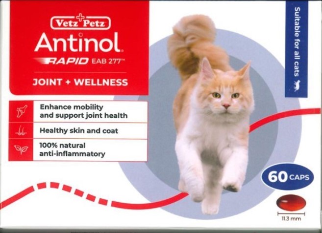 Vetz Petz ANTINOL Rapid (Supoort & Management of Healthy Joint) Supplement For Cats 30 Capsules
