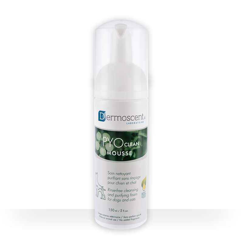 DERMOSCENT PYOclean® Mousse For Dogs & Cats 150ml
