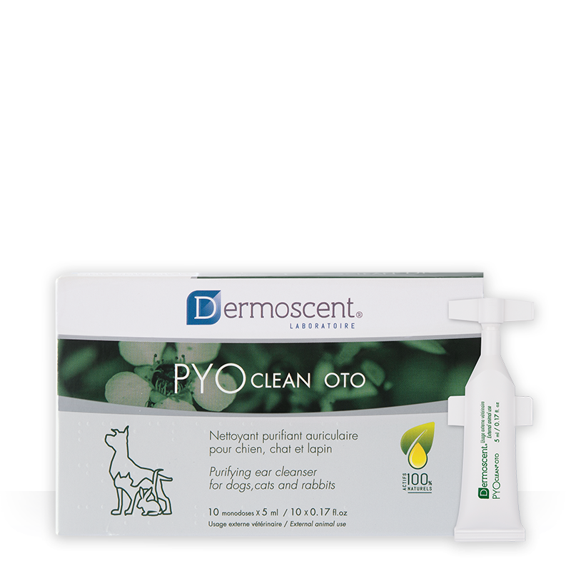 DERMOSCENT PYOclean OTO for dogs & cats 5ml x10pc