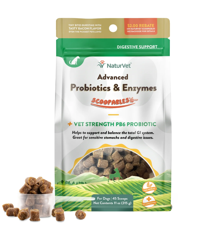 NaturVet Advanced Probiotics & Enzymes for Dog (Bag) 11oz