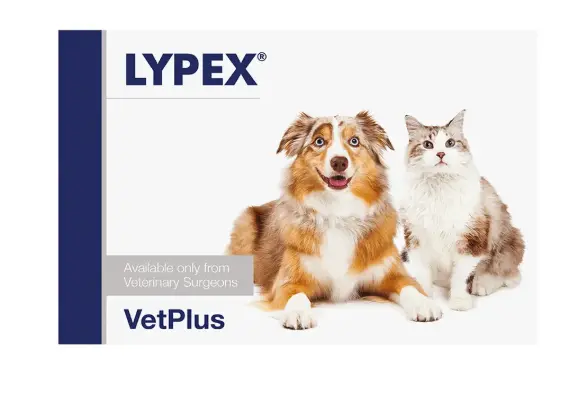 VetPlus Lypex Pancreatic Enzyme For Dogs & Cats 60caps
