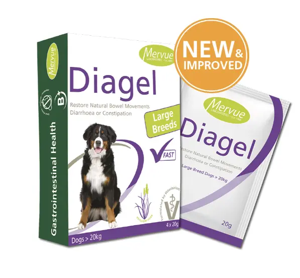 Mervue Diagel Digestive Support Supplement Powder 4x20g (For >20kg Dogs)