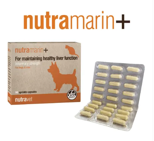 Nutravet Nutramarin+ (SAMe 100mg) Liver Support Supplement For Cats & Dogs 60Capsules