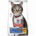 Hill's Cat Science Diet Oral Care 成貓口腔護理專用配方貓乾糧 貓糧 3.5lbs