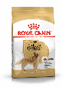 Royal Canin 金毛尋回成犬糧 (適合15個月以上) 狗乾糧 狗糧 12kg