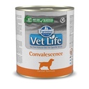 Vet Life Convalescence 高營養照護配方 處方濕糧 狗糧 300g x 6