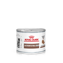 Royal Canin Prescription Diet Kitten GASTROINTESTINAL (In Mousse) Cat Canned 195g*12