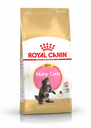 Royal Canin Kitten Maine Coon 緬因幼貓專屬配方 幼貓糧 10kg