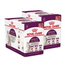 Royal Canin Cat Sensory Multi-Pack Gravy  ( Smell, Taste, Feel@4 packs) 貓感系列混合濕糧(口感, 肉香, 鮮味各4包 ) 85g*12小包裝 