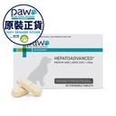 PAW HEPATOADVANCED 肝臟高效護理配方咀嚼片 (中型及大型犬) 30粒裝