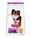 Hill's Science Diet Sensitive Stomach 敏感腸胃及皮膚 雞肉 小型及迷你成犬乾糧 4lb